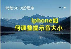 iphone如何调整提示音大小