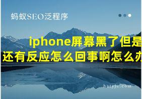 iphone屏幕黑了但是还有反应怎么回事啊怎么办