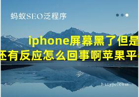 iphone屏幕黑了但是还有反应怎么回事啊苹果平板