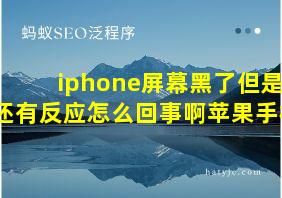 iphone屏幕黑了但是还有反应怎么回事啊苹果手机