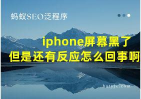 iphone屏幕黑了但是还有反应怎么回事啊