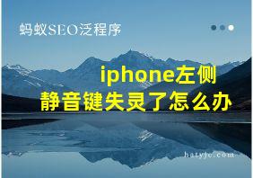 iphone左侧静音键失灵了怎么办