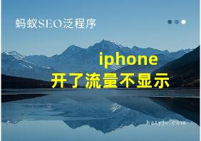 iphone开了流量不显示