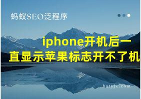 iphone开机后一直显示苹果标志开不了机