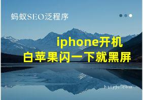 iphone开机白苹果闪一下就黑屏