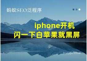 iphone开机闪一下白苹果就黑屏