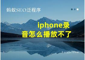 iphone录音怎么播放不了