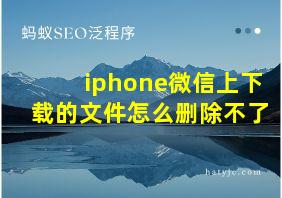 iphone微信上下载的文件怎么删除不了