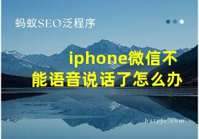 iphone微信不能语音说话了怎么办