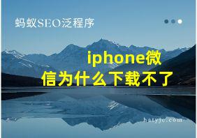 iphone微信为什么下载不了