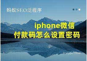 iphone微信付款码怎么设置密码