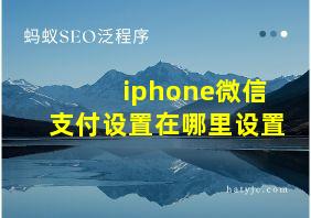 iphone微信支付设置在哪里设置