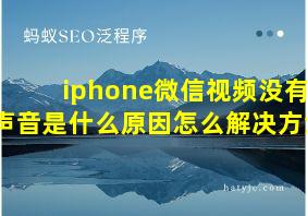 iphone微信视频没有声音是什么原因怎么解决方法