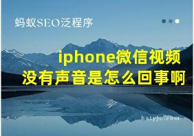 iphone微信视频没有声音是怎么回事啊