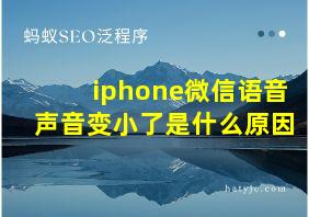 iphone微信语音声音变小了是什么原因