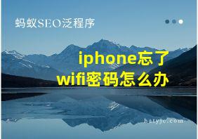 iphone忘了wifi密码怎么办