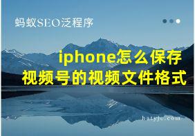 iphone怎么保存视频号的视频文件格式