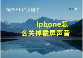 iphone怎么关掉截屏声音