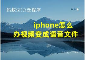 iphone怎么办视频变成语音文件