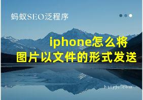 iphone怎么将图片以文件的形式发送