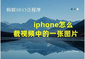 iphone怎么截视频中的一张图片