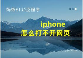 iphone怎么打不开网页