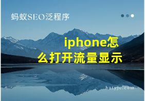 iphone怎么打开流量显示