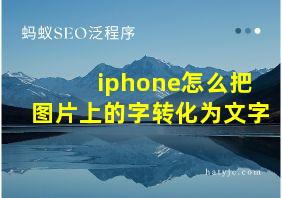 iphone怎么把图片上的字转化为文字