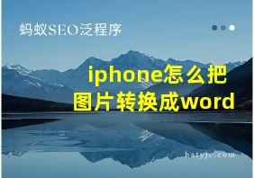 iphone怎么把图片转换成word