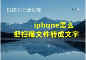 iphone怎么把扫描文件转成文字