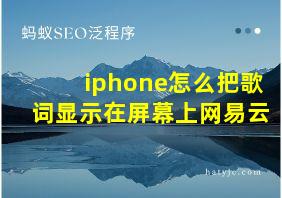 iphone怎么把歌词显示在屏幕上网易云