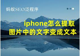 iphone怎么提取图片中的文字变成文本