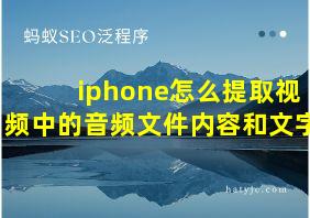 iphone怎么提取视频中的音频文件内容和文字