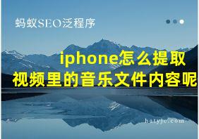 iphone怎么提取视频里的音乐文件内容呢