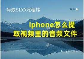 iphone怎么提取视频里的音频文件