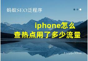 iphone怎么查热点用了多少流量