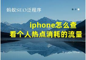 iphone怎么查看个人热点消耗的流量