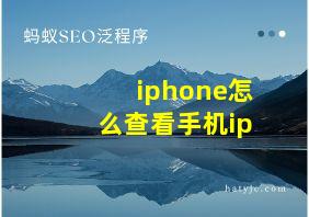 iphone怎么查看手机ip