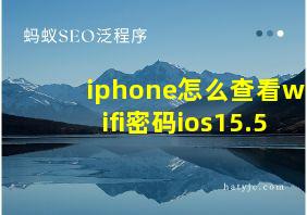 iphone怎么查看wifi密码ios15.5