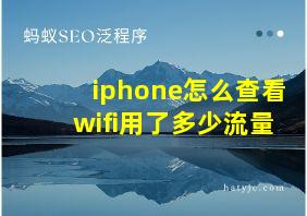 iphone怎么查看wifi用了多少流量