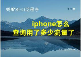 iphone怎么查询用了多少流量了