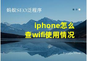 iphone怎么查wifi使用情况