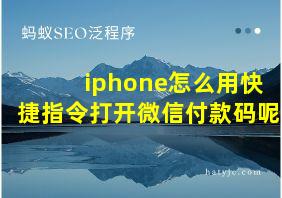 iphone怎么用快捷指令打开微信付款码呢