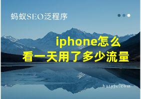 iphone怎么看一天用了多少流量