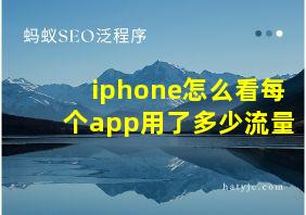 iphone怎么看每个app用了多少流量