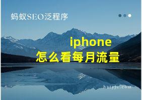 iphone怎么看每月流量