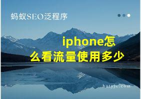 iphone怎么看流量使用多少