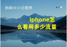 iphone怎么看用多少流量