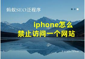 iphone怎么禁止访问一个网站