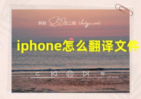 iphone怎么翻译文件